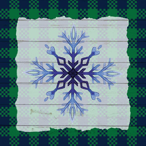 Snowflake Winter 1 White Modern Wood Framed Art Print by Allen, Kimberly