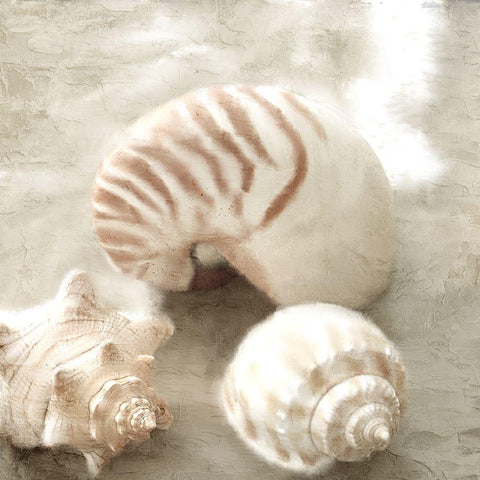 In the Sand White Modern Wood Framed Art Print with Double Matting by Allen, Kimberly