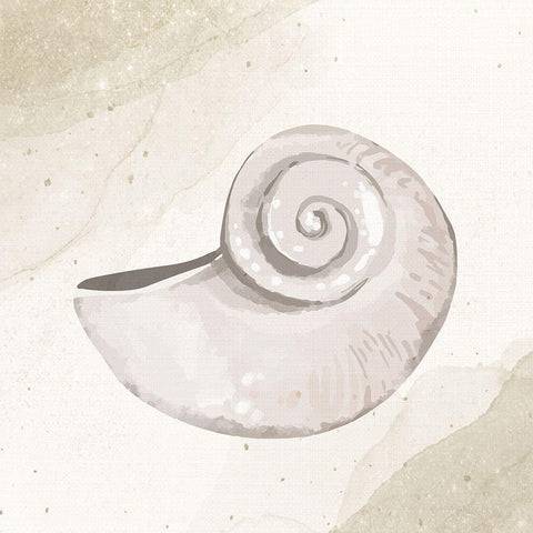 Calming Shell 1 Black Modern Wood Framed Art Print with Double Matting by Allen, Kimberly