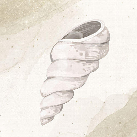 Calming Shell 3 Black Modern Wood Framed Art Print with Double Matting by Allen, Kimberly