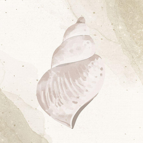 Calming Shell 4 Black Modern Wood Framed Art Print by Allen, Kimberly