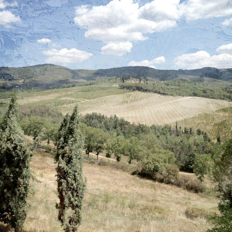 Tuscan Field Black Ornate Wood Framed Art Print with Double Matting by Allen, Kimberly