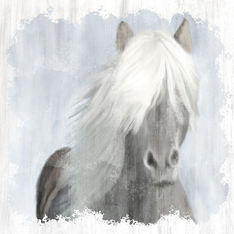 Mane Black Modern Wood Framed Art Print by Allen, Kimberly