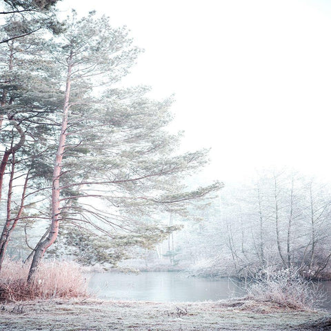 Silence Black Ornate Wood Framed Art Print with Double Matting by Allen, Kimberly