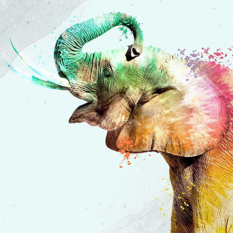 Tie Die Elephant 3 White Modern Wood Framed Art Print with Double Matting by Allen, Kimberly