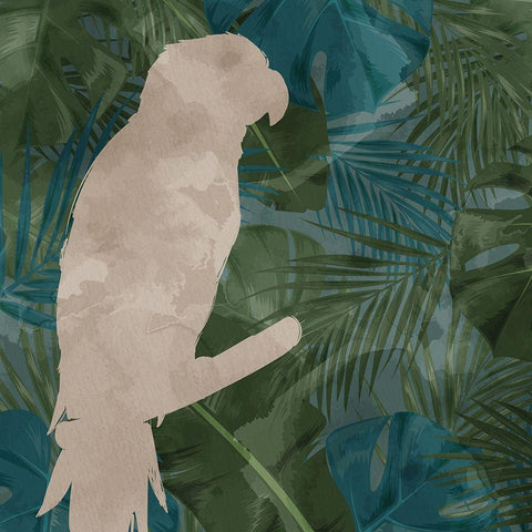 Parrot Silhouette 1 White Modern Wood Framed Art Print with Double Matting by Allen, Kimberly