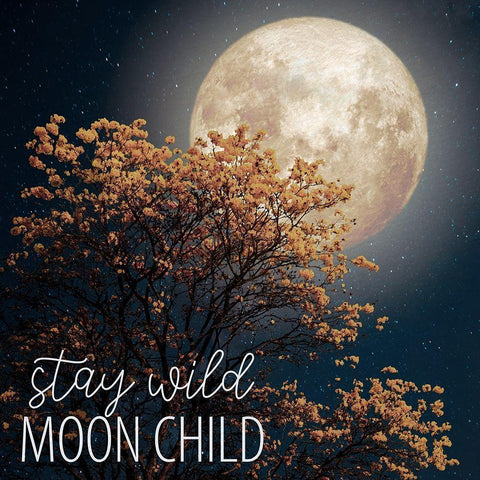 Stay Wild Moon Child Black Modern Wood Framed Art Print by Allen, Kimberly