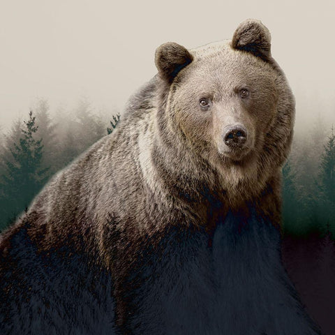 Forest Bear Gold Ornate Wood Framed Art Print with Double Matting by Allen, Kimberly