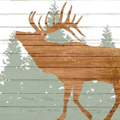 Woods 3 White Modern Wood Framed Art Print with Double Matting by Allen, Kimberly