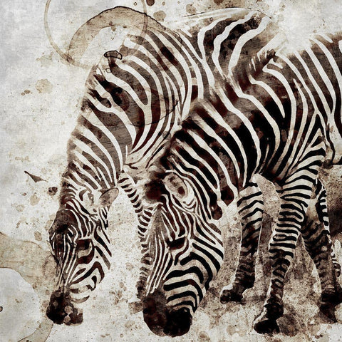 Zebras White Modern Wood Framed Art Print by Allen, Kimberly