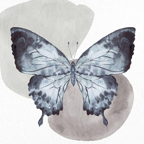 Watercolor Butterfly 1 White Modern Wood Framed Art Print with Double Matting by Allen, Kimberly