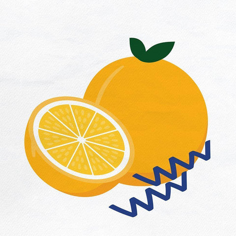 Orange Slice 4 White Modern Wood Framed Art Print with Double Matting by Allen, Kimberly