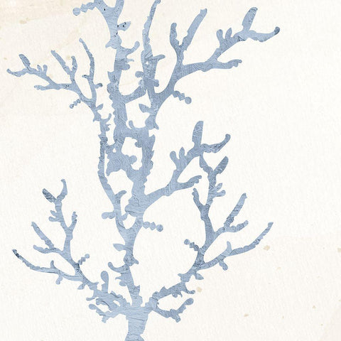 Coral Days 1 Black Ornate Wood Framed Art Print with Double Matting by Allen, Kimberly