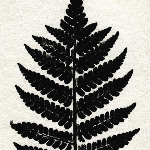 Pressed Fern 2 White Modern Wood Framed Art Print by Allen, Kimberly