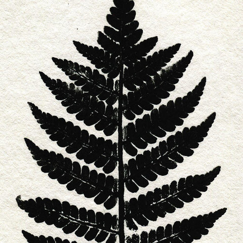 Pressed Fern 2 Black Ornate Wood Framed Art Print with Double Matting by Allen, Kimberly