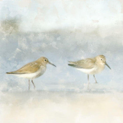 Sandpiper Beach Black Modern Wood Framed Art Print by Allen, Kimberly