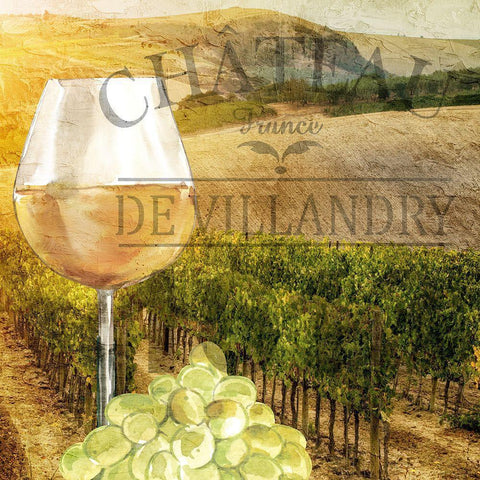 Chateau 2 Black Modern Wood Framed Art Print with Double Matting by Allen, Kimberly