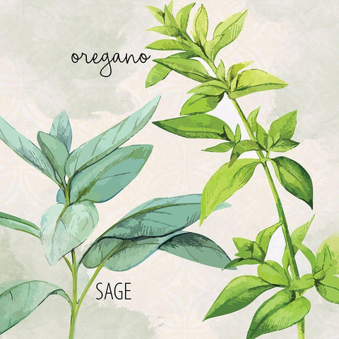 Fresh Herbs 3 White Modern Wood Framed Art Print by Allen, Kimberly