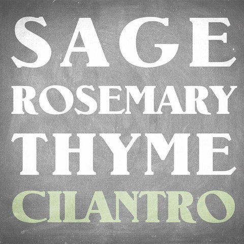 Fresh Herbs 4 White Modern Wood Framed Art Print by Allen, Kimberly