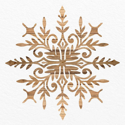 Wooden Snowflake 1 White Modern Wood Framed Art Print with Double Matting by Allen, Kimberly