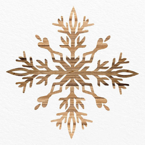 Wooden Snowflake 2 Black Ornate Wood Framed Art Print with Double Matting by Allen, Kimberly