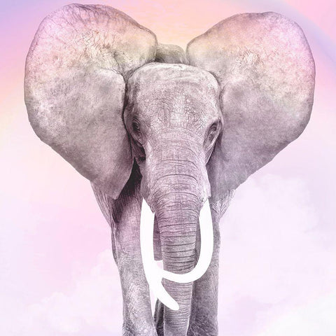 Pink Animals 2 White Modern Wood Framed Art Print with Double Matting by Allen, Kimberly