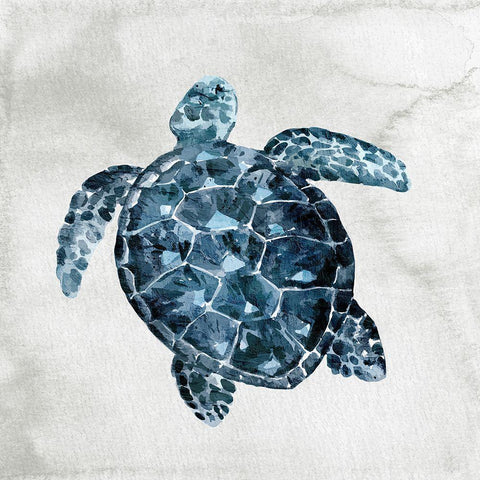 Sea Life 2 Black Modern Wood Framed Art Print by Allen, Kimberly