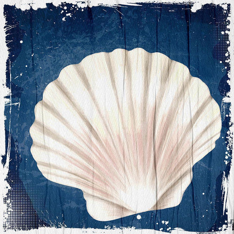 Coastal Shells 2 White Modern Wood Framed Art Print by Allen, Kimberly