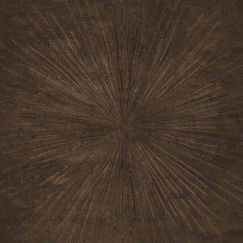 Sun Light 1 Brown Black Modern Wood Framed Art Print by Allen, Kimberly