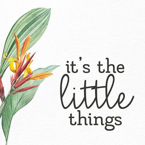 The Little Things Black Modern Wood Framed Art Print with Double Matting by Allen, Kimberly