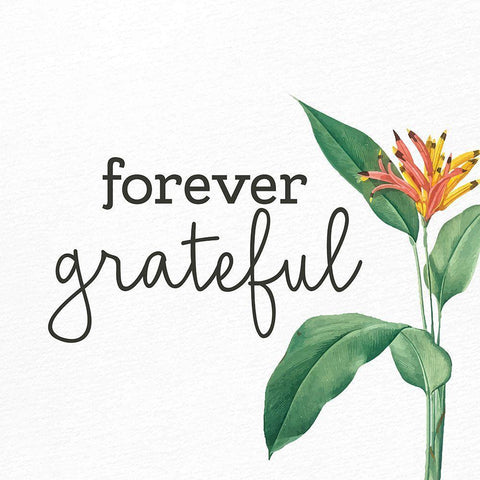 Forever Grateful White Modern Wood Framed Art Print with Double Matting by Allen, Kimberly