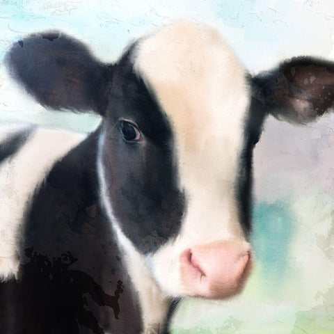 Baby Cow White Modern Wood Framed Art Print by Allen, Kimberly