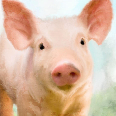 Baby Pig White Modern Wood Framed Art Print with Double Matting by Allen, Kimberly