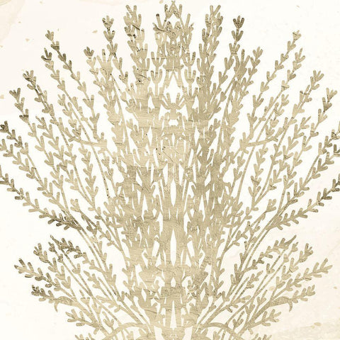 Sand Coral 2 Black Ornate Wood Framed Art Print with Double Matting by Allen, Kimberly