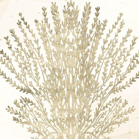 Sand Coral 2 Black Modern Wood Framed Art Print by Allen, Kimberly