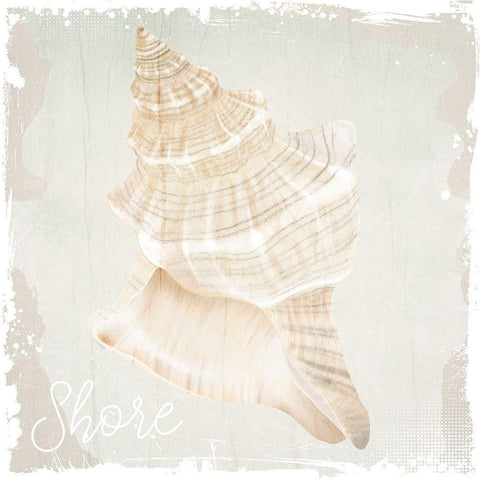 Shore Coast 1 White Modern Wood Framed Art Print with Double Matting by Allen, Kimberly