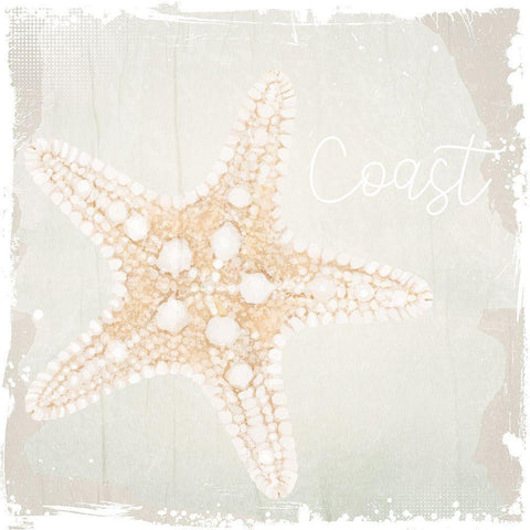 Shore Coast 2 Black Modern Wood Framed Art Print with Double Matting by Allen, Kimberly