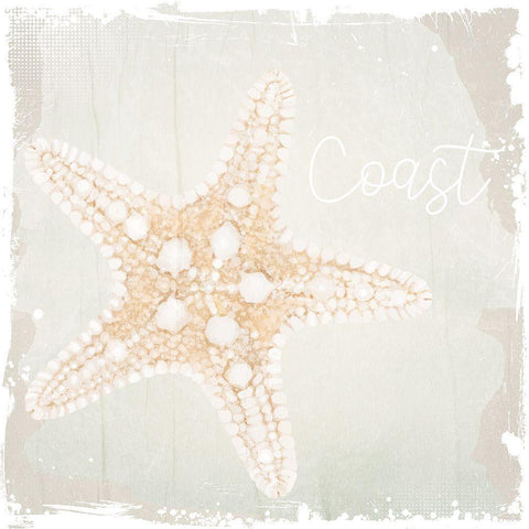 Shore Coast 2 Black Ornate Wood Framed Art Print with Double Matting by Allen, Kimberly