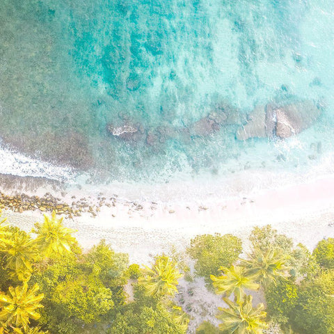 Tropic Aerial 2 Gold Ornate Wood Framed Art Print with Double Matting by Allen, Kimberly