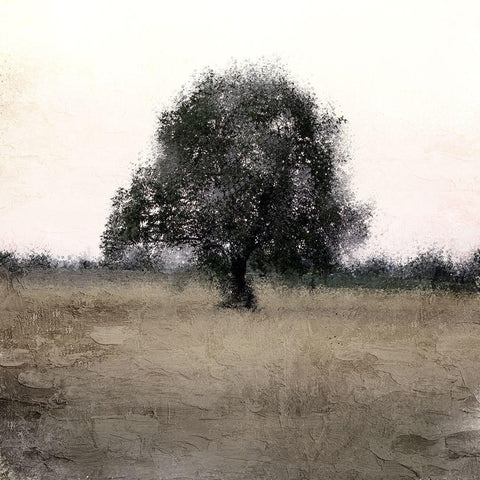 Tree Silhouette White Modern Wood Framed Art Print with Double Matting by Allen, Kimberly
