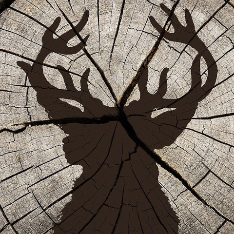 Woods Silhouette 1 Black Modern Wood Framed Art Print by Allen, Kimberly