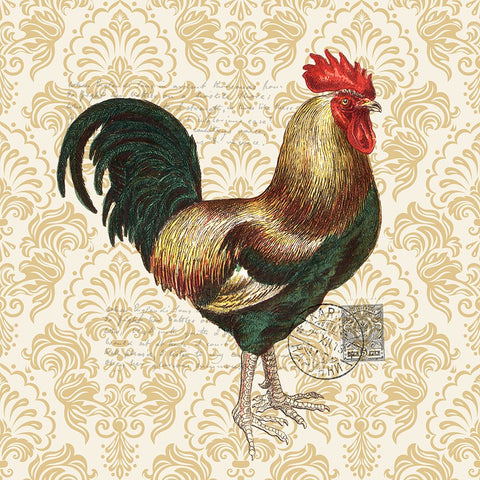 Rooster 2 White Modern Wood Framed Art Print with Double Matting by Allen, Kimberly