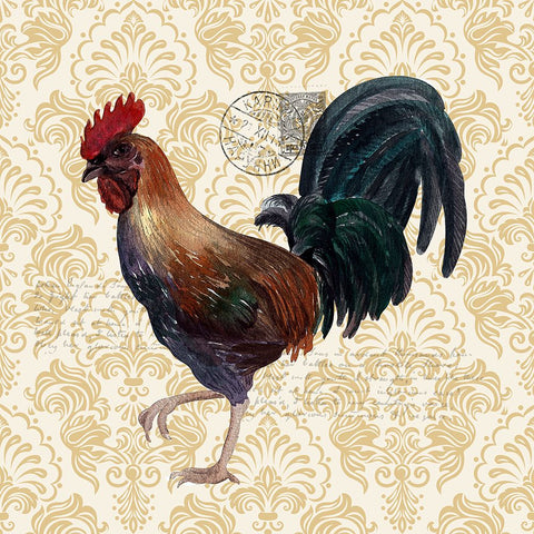 Rooster 3 Black Ornate Wood Framed Art Print with Double Matting by Allen, Kimberly