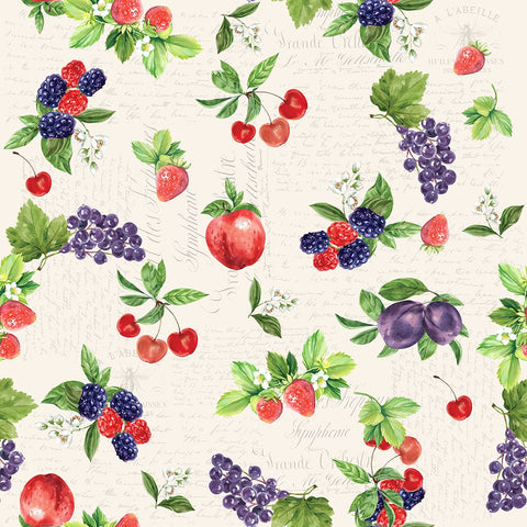 Summer Fruits Black Modern Wood Framed Art Print by Allen, Kimberly