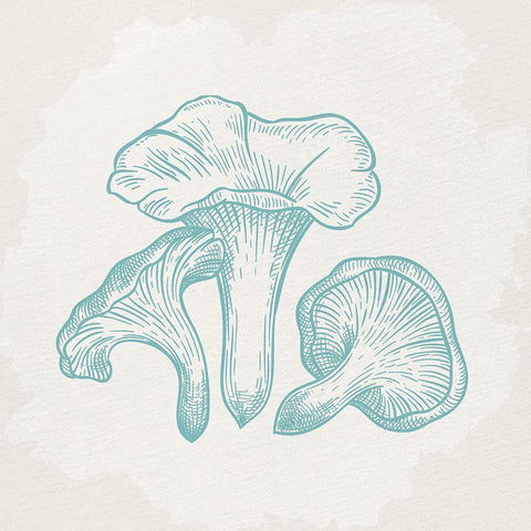 Mushroom Love 1 White Modern Wood Framed Art Print with Double Matting by Allen, Kimberly