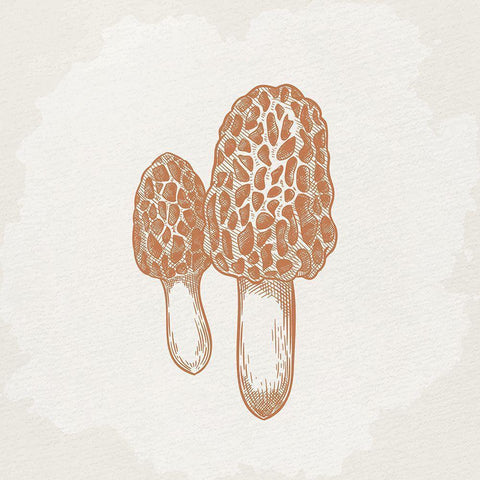 Mushroom Love 3 Gold Ornate Wood Framed Art Print with Double Matting by Allen, Kimberly