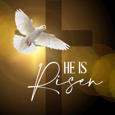 He is Risen Black Modern Wood Framed Art Print by Allen, Kimberly