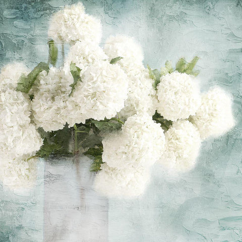 Hydrangeas White Modern Wood Framed Art Print by Allen, Kimberly