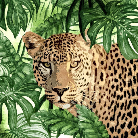 Jungle Eyes 2 White Modern Wood Framed Art Print with Double Matting by Allen, Kimberly