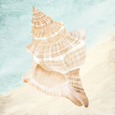 At the Shore 1 White Modern Wood Framed Art Print with Double Matting by Allen, Kimberly